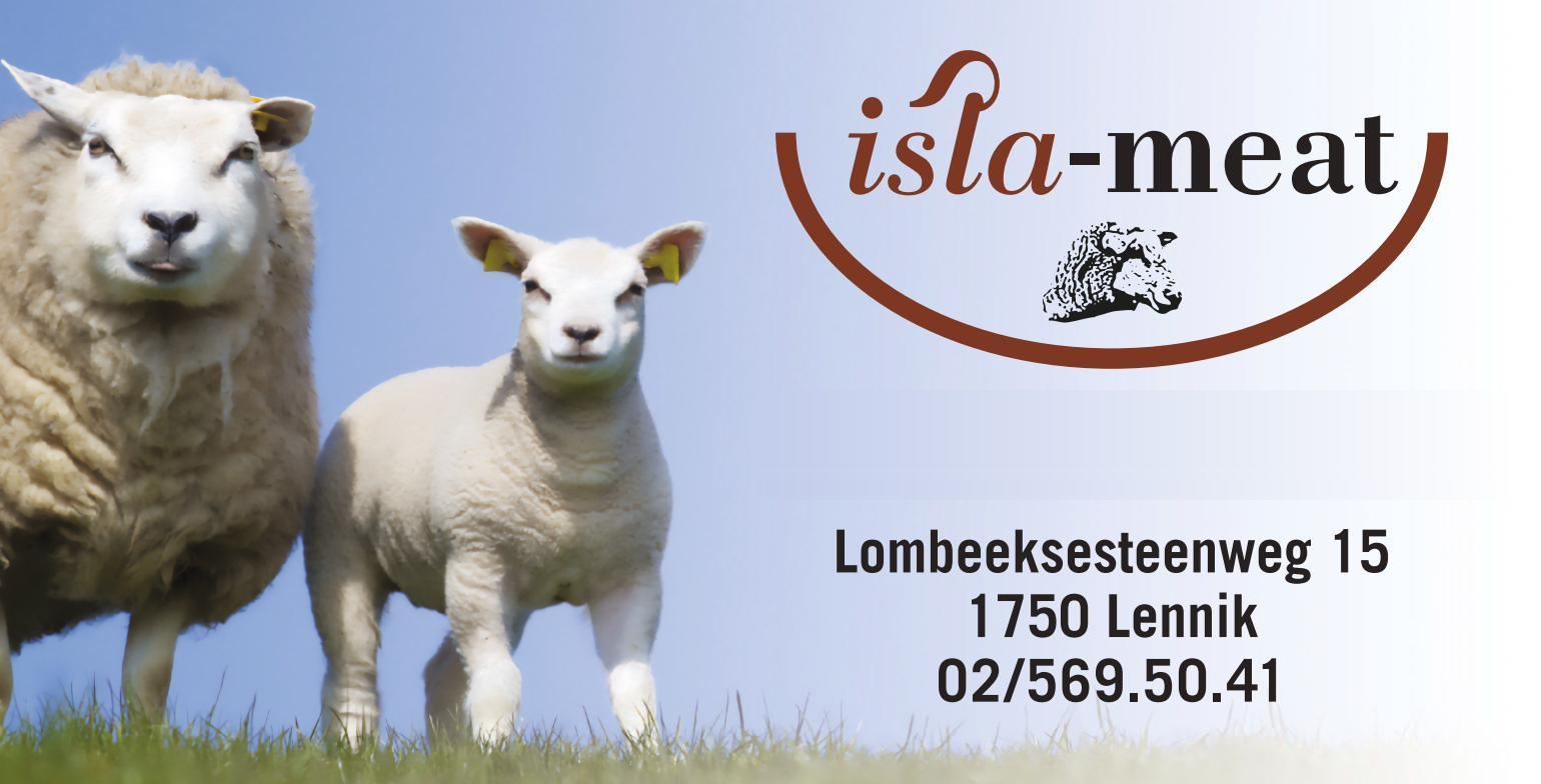 Schapen in de wei